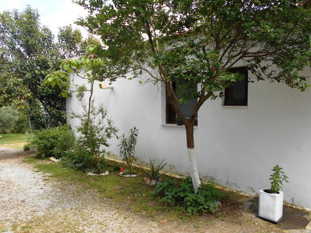 Anastasia Makri Exterior photo