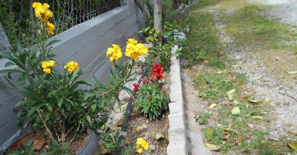 Anastasia Makri Exterior photo