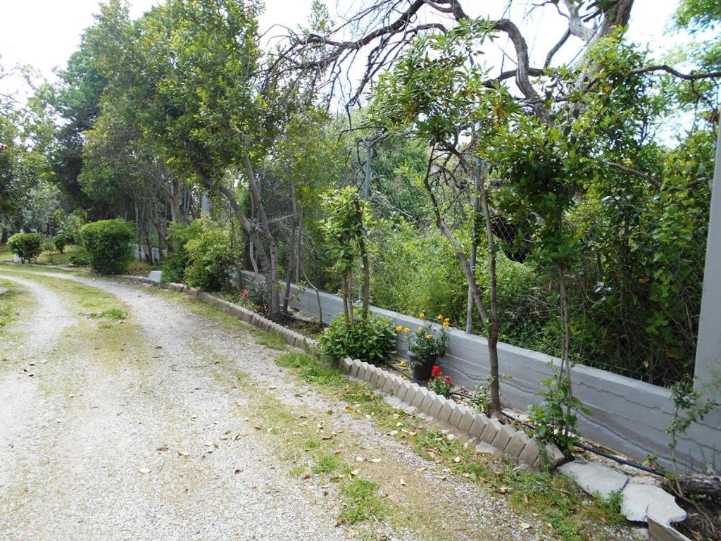 Anastasia Makri Exterior photo